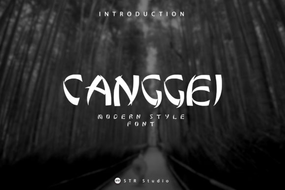 Canggei: A Modern Display Font for Web Design